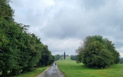 Auf dem Scharpenacken